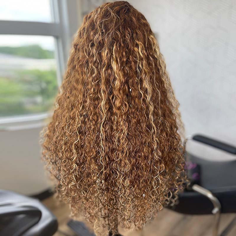 DNE Hair HD Lace Front Wigs Human Hair Curly Wigs Highlight Lace Wigs 24Inch Model Back Show