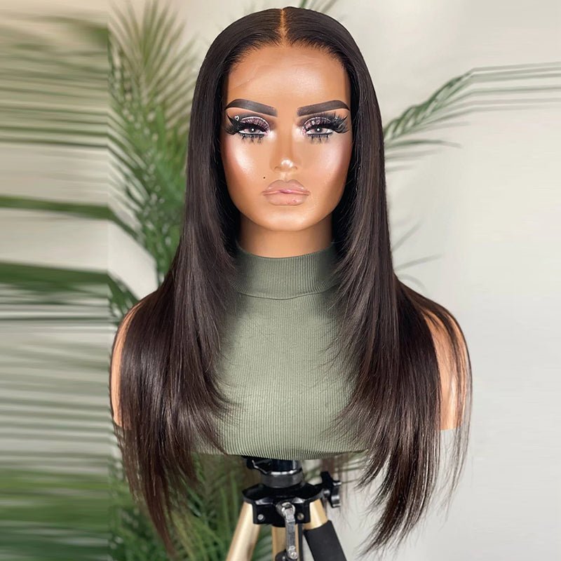 DNE Hair 5x5 Lace Closure Wigs Human Hair Straight HD Lace Wig for Women 24 Inch Wig Model Front View